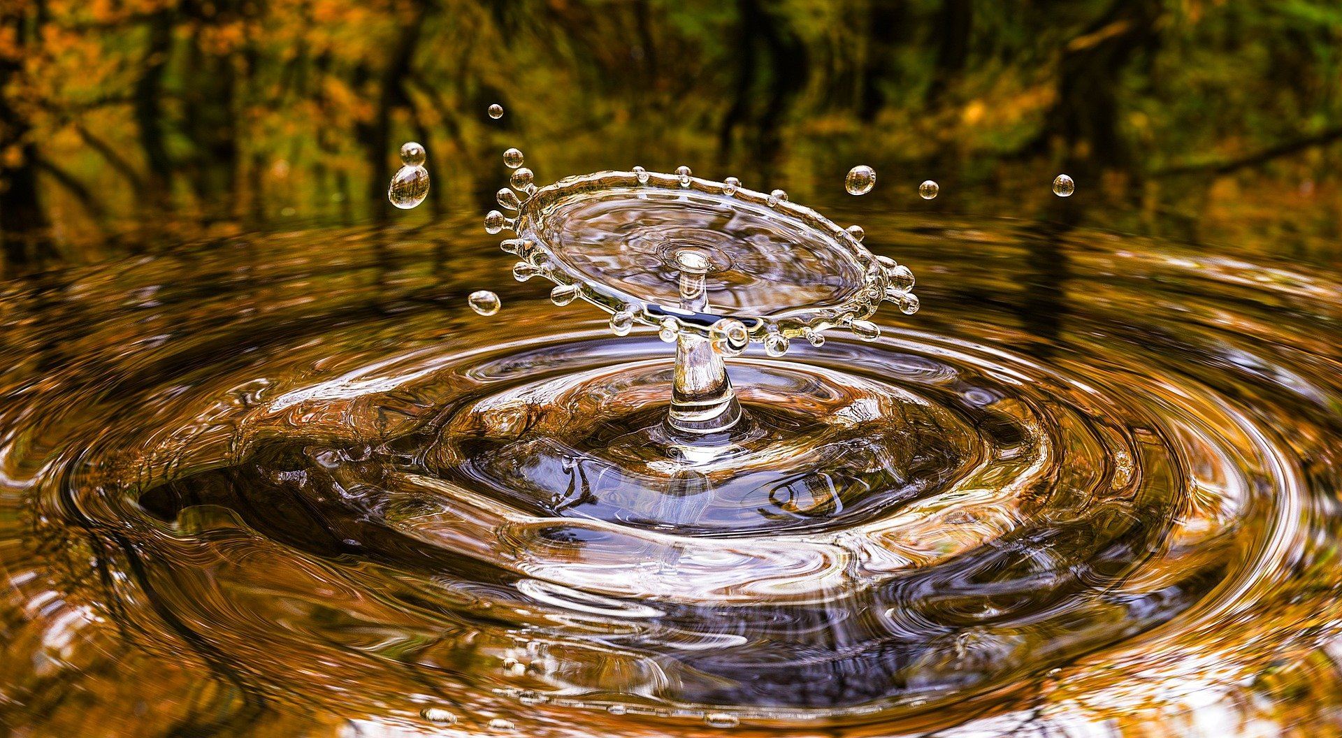 water drop splashing in pond